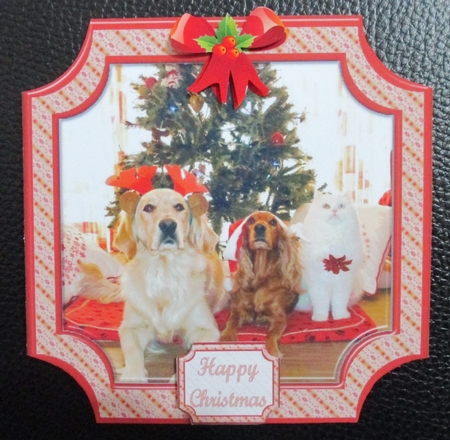 JJ PETS LOVE CHRISTMAS TOO 8x8 by Davina Rundle