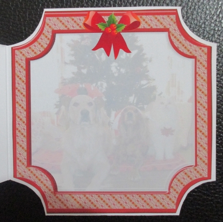 JJ PETS LOVE CHRISTMAS TOO 8x8 INSERT1 BLANK by Davina Rundle