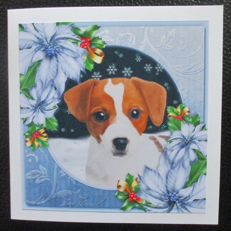 Santa Paws 5 by Davina Rundle
