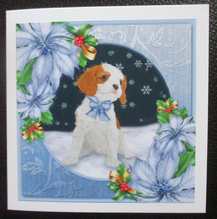 Santa Paws 6 by Davina Rundle
