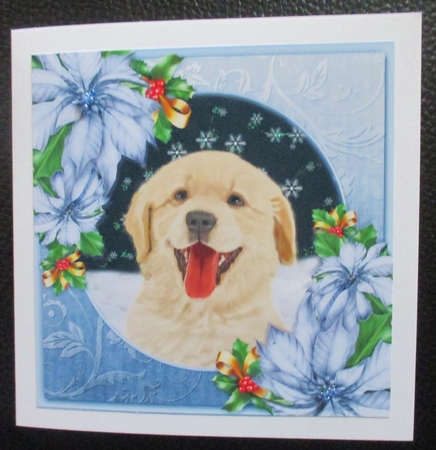 Santa Paws 7 by Davina Rundle