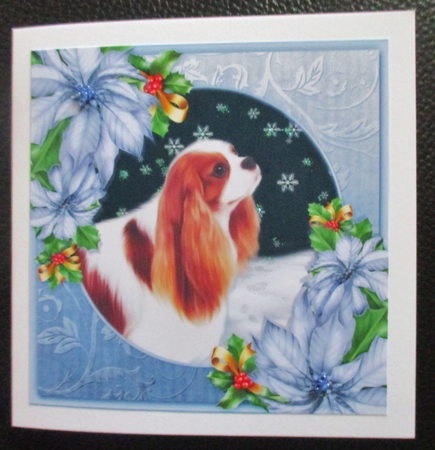 Santa Paws 14 by Davina Rundle