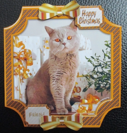 JJ PETS LOVE CHRISTMAS TOO GOLDEN CAT 8X8 CARD by Davina Rundle