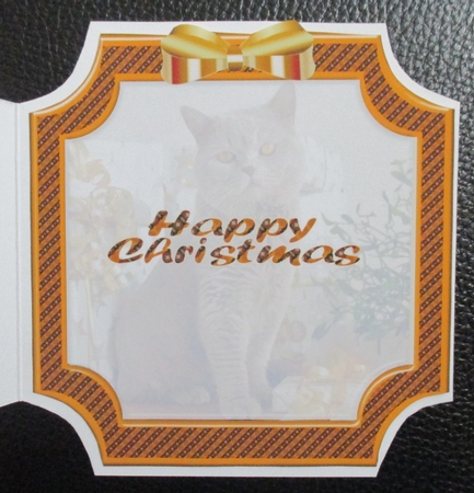 JJ PETS LOVE CHRISTMAS TOO GOLDEN CAT INSERT HAPPY CHRISTMAS by Davina Rundle
