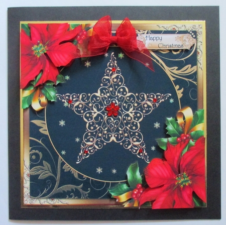 The Christmas Star by Davina Rundle