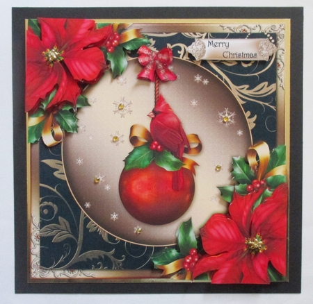 The Christmas Cardinal  by Davina Rundle