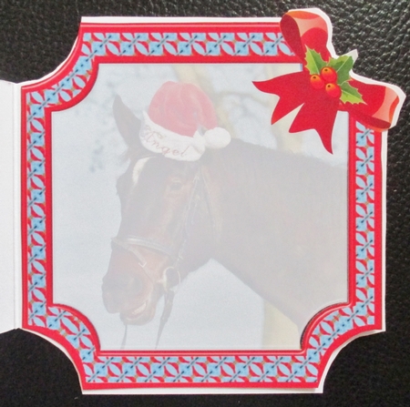  JJ PETS LOVE CHRISTMAS TOO HORSE IN A HAT 8X8 INSERT BLANK by Davina Rundle
