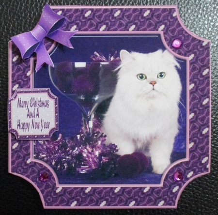  JJ PETS LOVE CHRISTMAS TOO SNOW WHITE CAT 8x8 by Davina Rundle