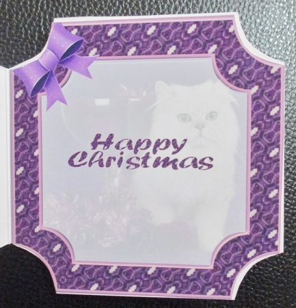 JJ PETS LOVE CHRISTMAS TOO SNOW WHITE CAT 8x8 INSERT HAPPY CHRISTMAS by Davina Rundle