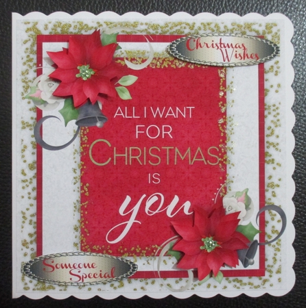 All I Want for Christmas is You, by Davina Rundle
