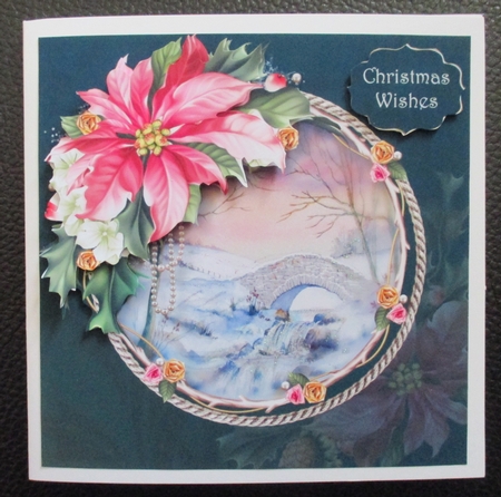 Pink Poinsettia Christmas by Davina Rundle