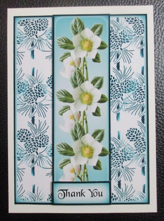 Christmas Rose 4 by Davina Rundle