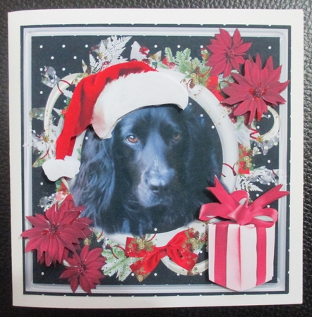 Santas Helper by Davina Rundle