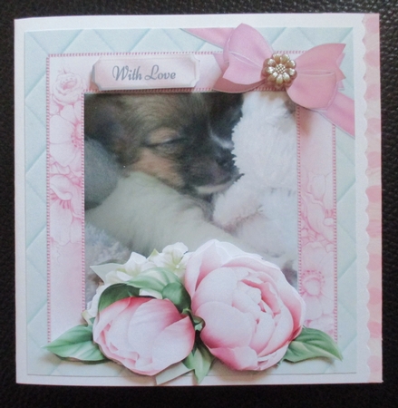 Sleepy Puppy 8x8 Mini Kit by Davina Rundle