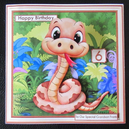 LEGLESS SNAKE WOBBLY HEAD CARD 8x8 Decoupage, Ages & Insert Mini Kit by Davina Rundle