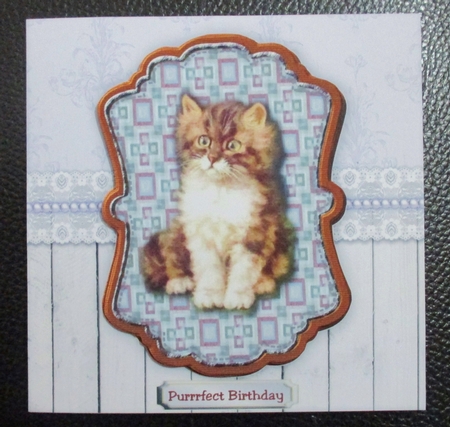 Vintage Kitten in scallop topper  by Davina Rundle
