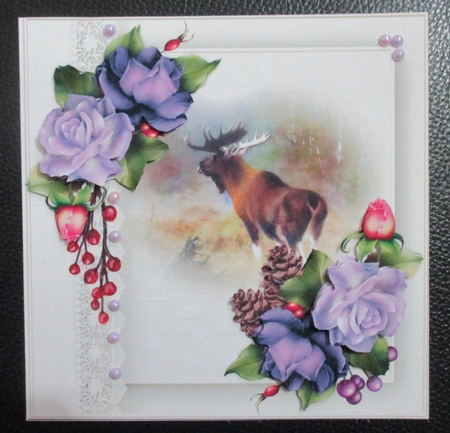 Roses and Moose by Davina Rundle