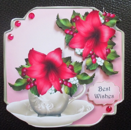 Deep Pink Amaryllis - Teacup & Saucer by Davina Rundle