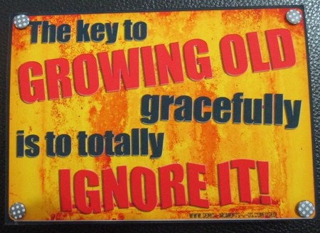 A4 Fun Novelty Growing Up - Senior Moment Saying Card Topper by Davina Rundle