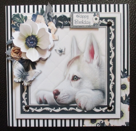 The Curious Puppy by Davina Rundle