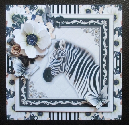 The Proud Zebra by Davina Rundle