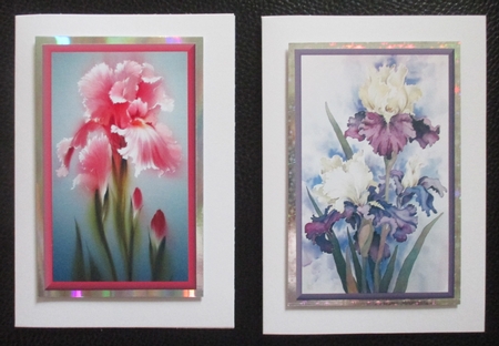 Irises Topper by Davina Rundle