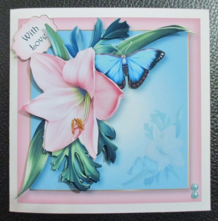 Pink Lily & Flutters - Colour Pop by Davina Rundle