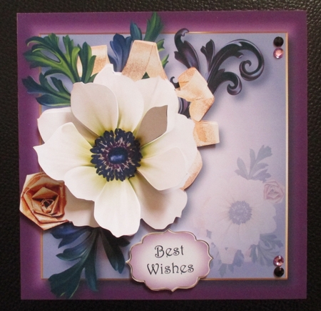 Elegance & Grace by Davina Rundle