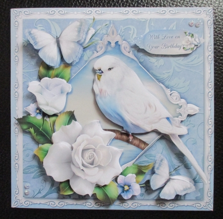 Little Blue Budgie by Davina Rundle