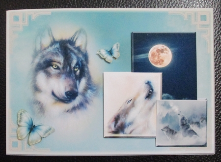Wolf Violet by Davina Rundle