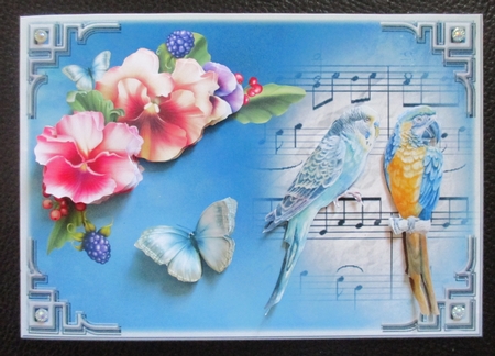 Singing Birds by Davina Rundle