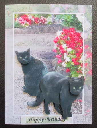 Black Cats Scene 3D Decoupage by Davina Rundle