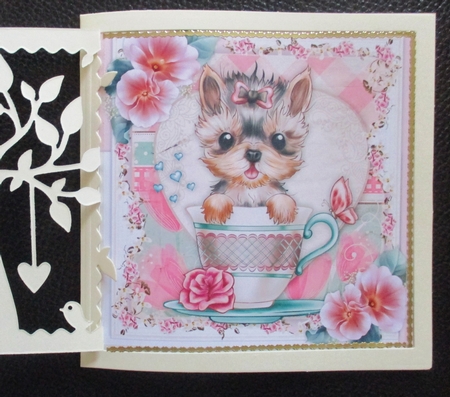 Stunnng Tiny Teeny Yorkie  by Davina Rundle