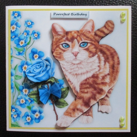 Purrrfect Birthday Mini Kit by Davina Rundle