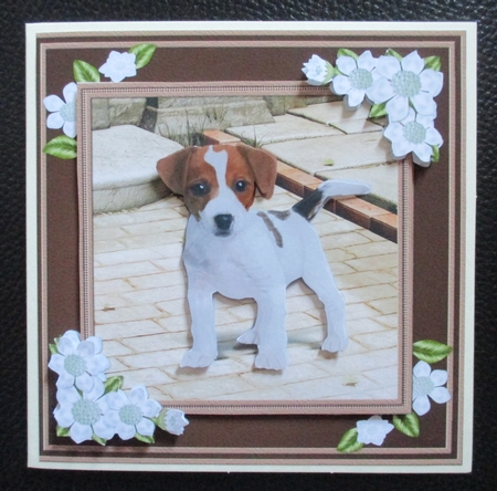 Jack Russel Mini Kit by Davina Rundle