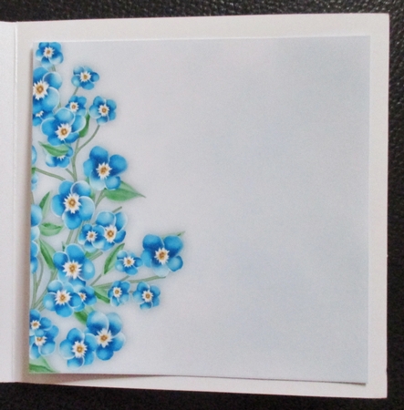 Insert for Purrrfect Birthday by Davina Rundle