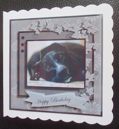 Sweet Paws Greyhound by Davina Rundle