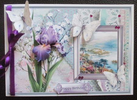 Iris and butterfly by Davina Rundle