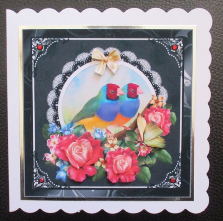 Gouldian Finch Card Front Kit Two by Davina Rundle