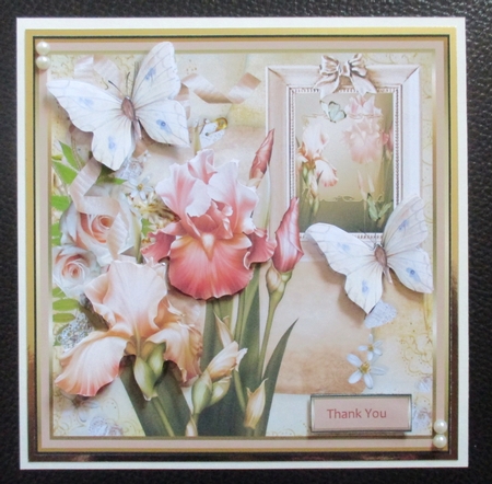 Peach Iris by Davina Rundle