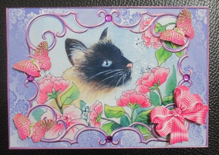 A5 card topper.  Cat with butterflies and bows by Davina Rundle
