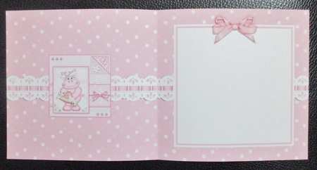 Hilda Hippo has a Bonnet & Basket square landscape insert by Davina Rundle