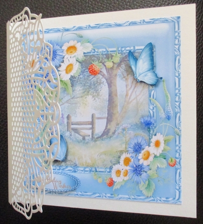 Stunning Daisys and Cornflowers  by Davina Rundle