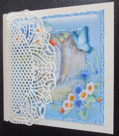 Stunning Daisys and Cornflowers  by Davina Rundle