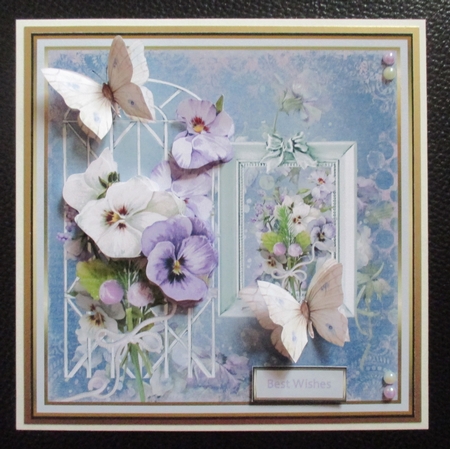 Spring pansy by Davina Rundle