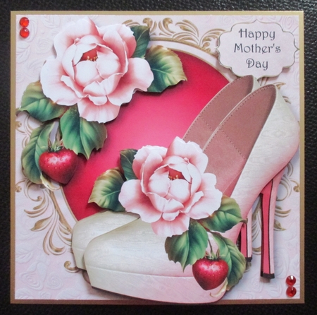 Sumptuous Shoes - Strawberry Rose by Davina Rundle