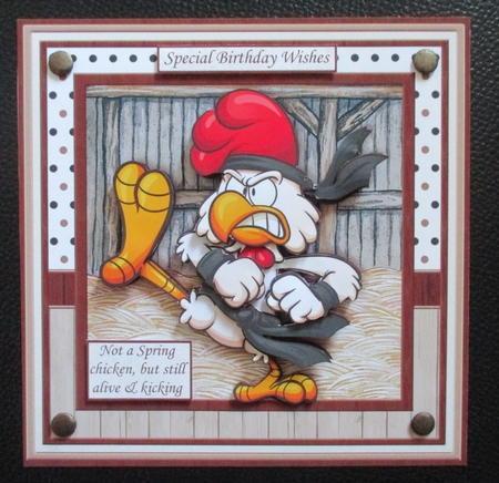 NO SPRING CHICK BUT STILL ALIVE & KICKING 8x8 Decoupage & Insert Mini Kit by Davina Rundle