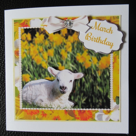 SPRING LAMB by Davina Rundle