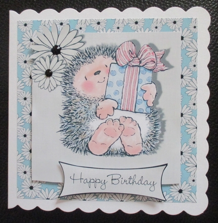 Cute hedgehog stamp birthday 6 x 6 topper card by Davina Rundle