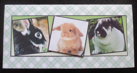 bunny love by Davina Rundle